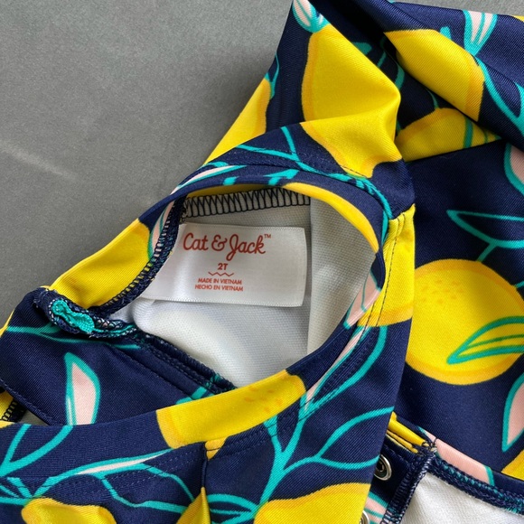 Swimsuits Toddler girl bundle Sz 2T - Picture 7 of 16